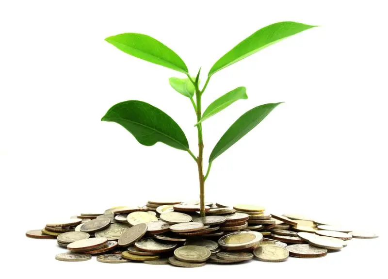 Инвестиции SKF в сохранение экологии | Свежие новости в Саратове